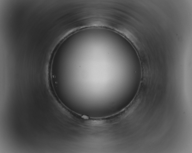 X0000089851134200706281246