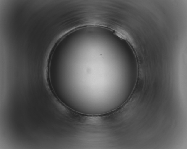 X0000089851136200706281246