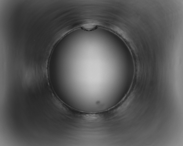X0000089851137200706281246