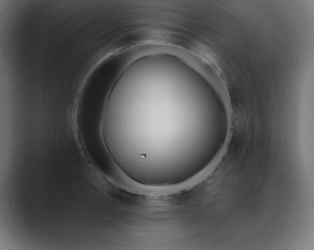 X0000089851138200706281246