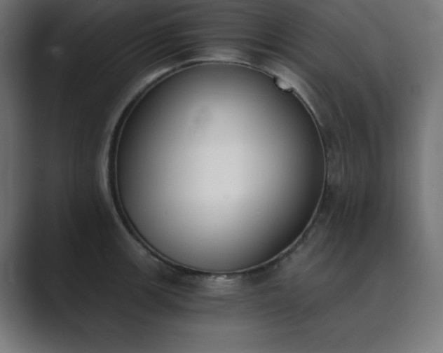 X0000089851139200706281246