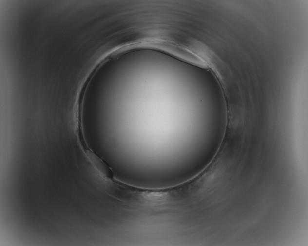X0000089851140200706281246