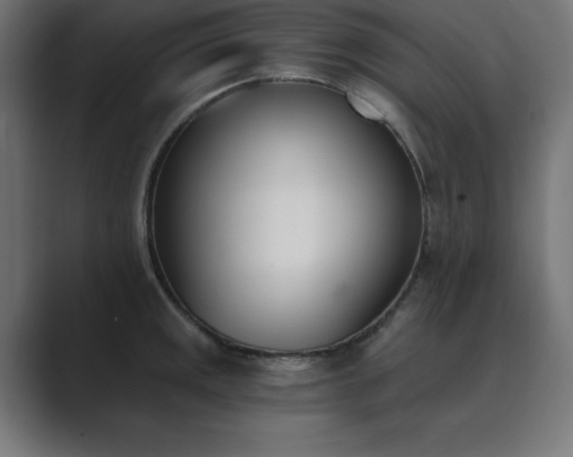 X0000089851141200706281246