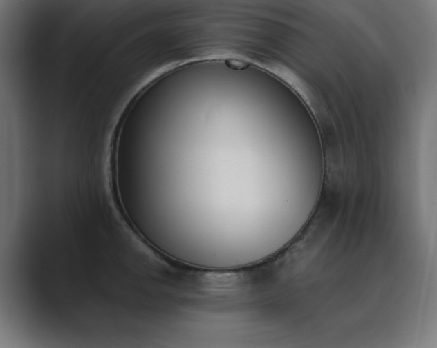 X0000089851142200706281246
