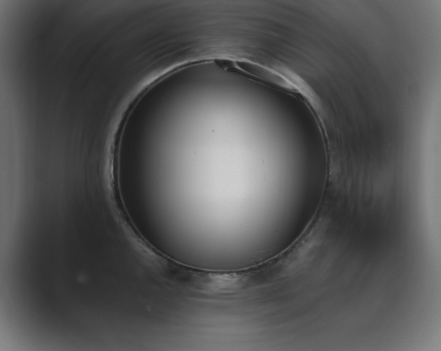 X0000089851144200706281246