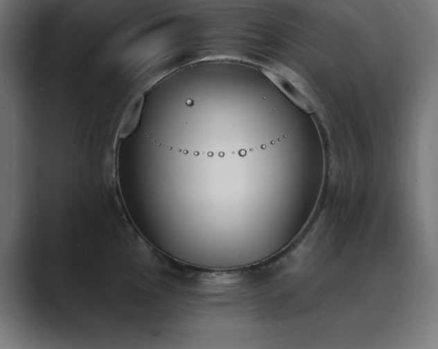 X0000089851145200706281246