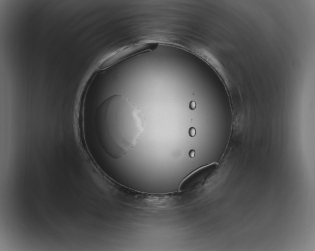 X0000089851146200706281246