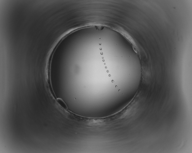 X0000089851148200706281246