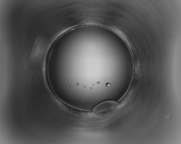 X0000089851149200706281246