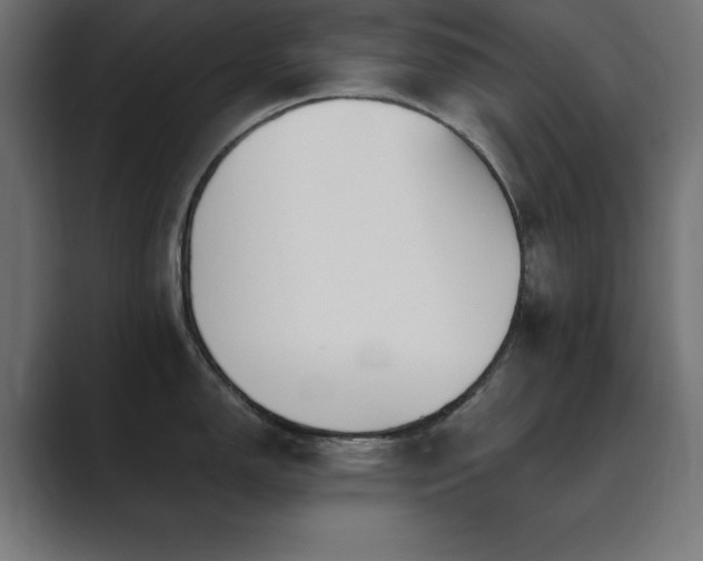 X0000089851150200706281246