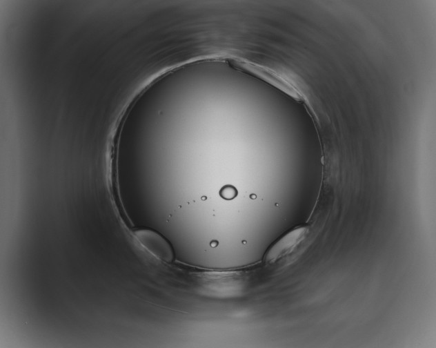 X0000089851151200706281246