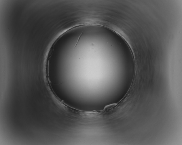 X0000089851152200706281246