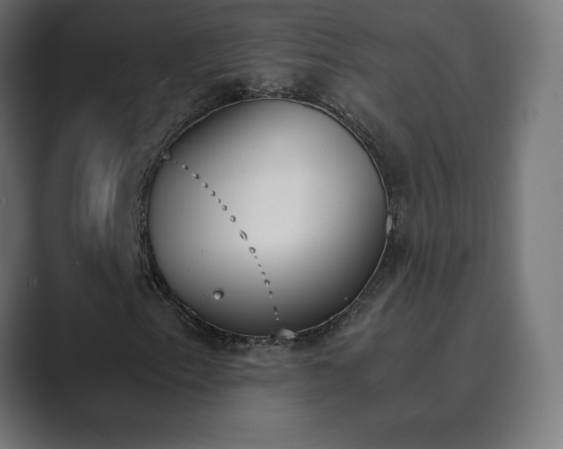 X0000089851153200706281246