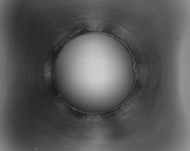 X0000089851154200706281246