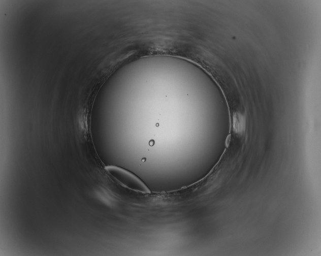 X0000089851155200706281246