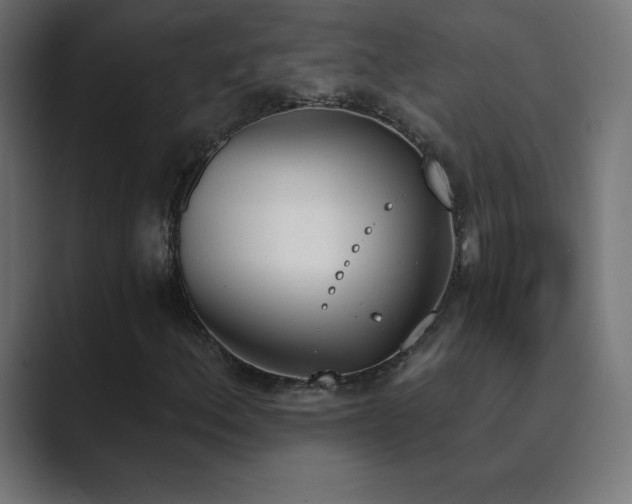 X0000089851156200706281246
