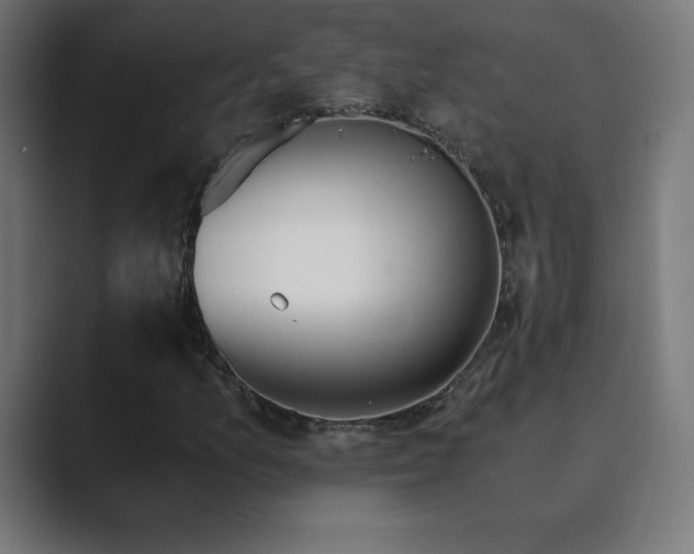 X0000089851157200706281246