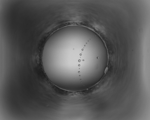 X0000089851159200706281246
