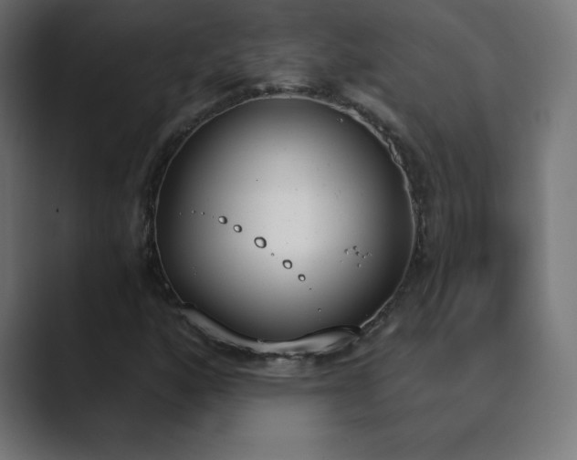 X0000089851160200706281246