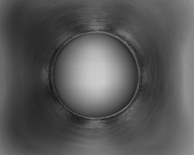 X0000089851162200706281246