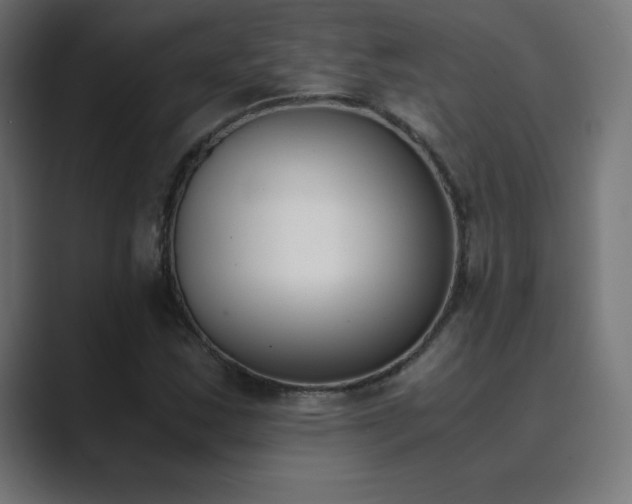 X0000089851163200706281246