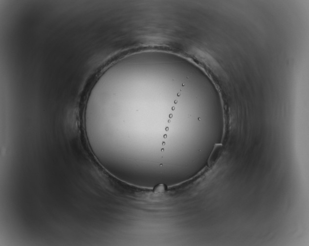 X0000089851164200706281246