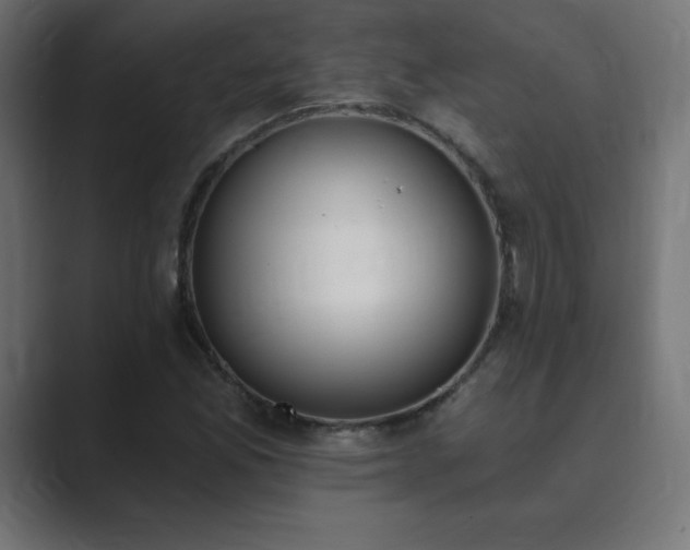 X0000089851165200706281246