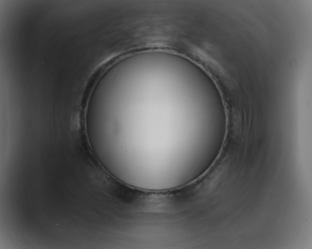 X0000089851166200706281246