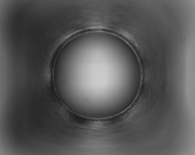 X0000089851167200706281246