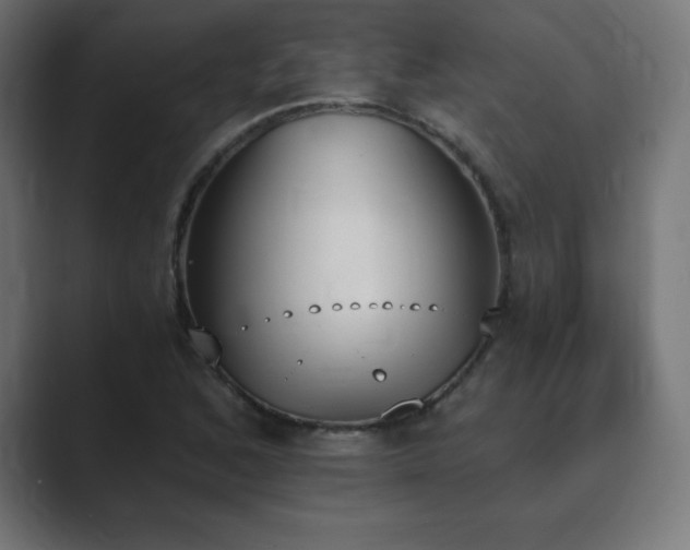 X0000089851168200706281246