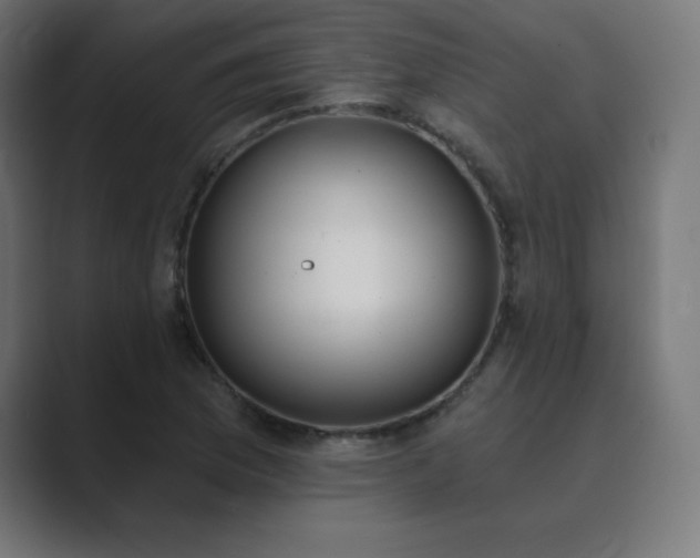 X0000089851169200706281246