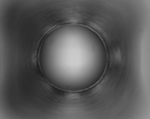 X0000089851170200706281246