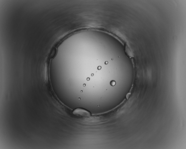 X0000089851171200706281246