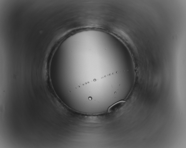 X0000089851172200706281246