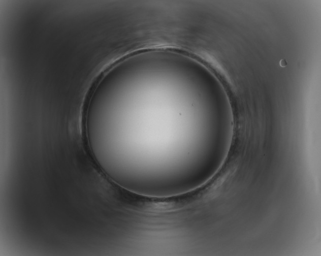 X0000089851173200706281246