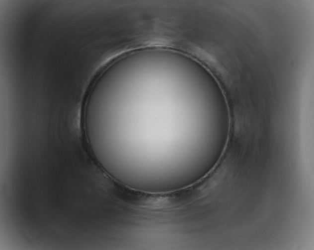 X0000089851174200706281246