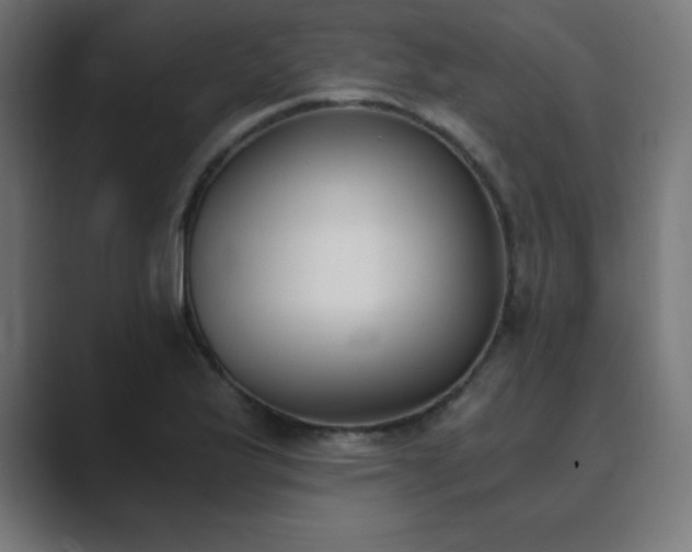 X0000089851175200706281246