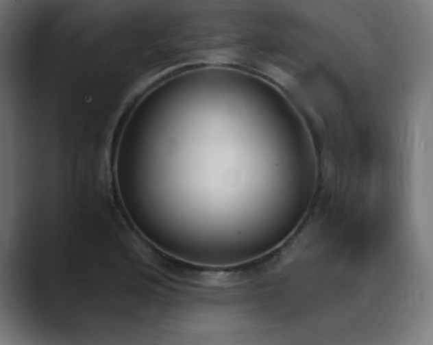 X0000089851176200706281246