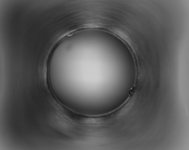 X0000089851179200706281246
