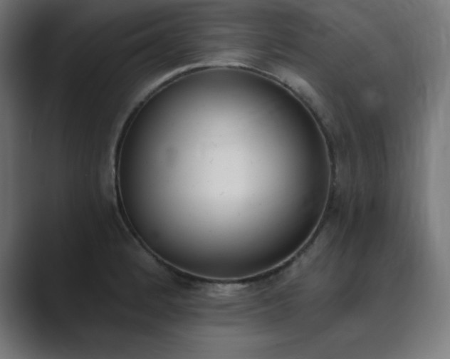 X0000089851184200706281246