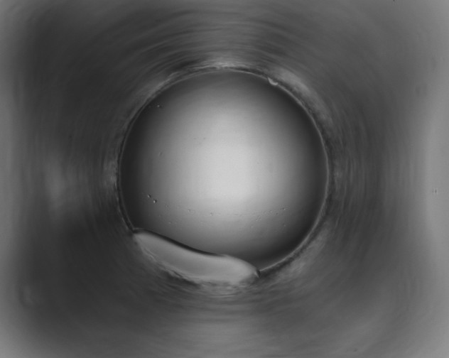 X0000089851185200706281246