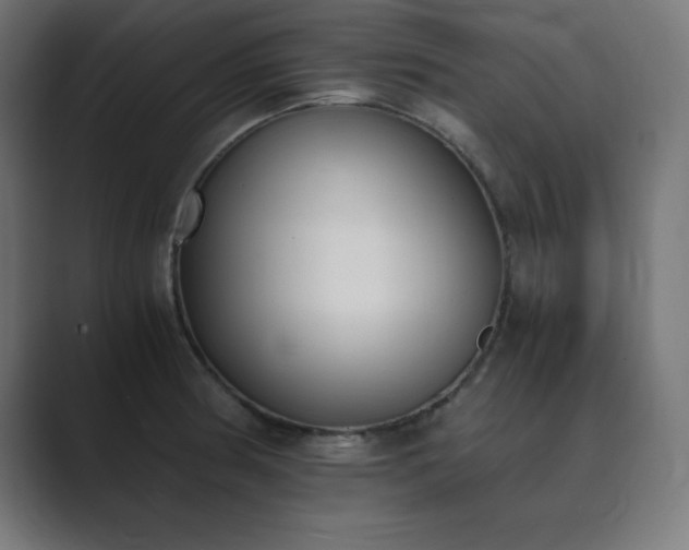 X0000089851186200706281246