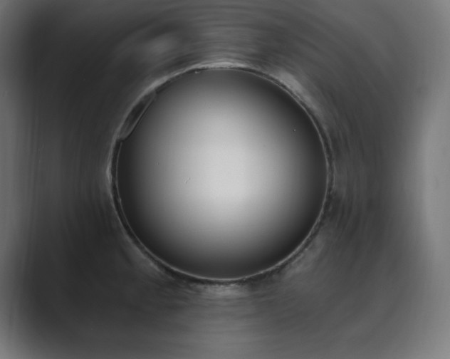 X0000089851189200706281246