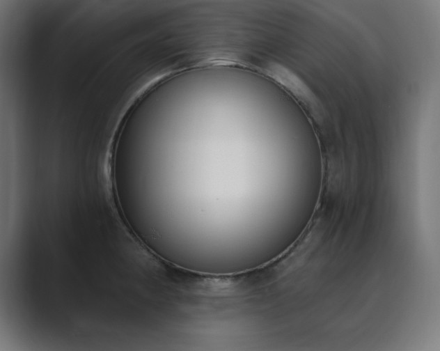 X0000089851190200706281245