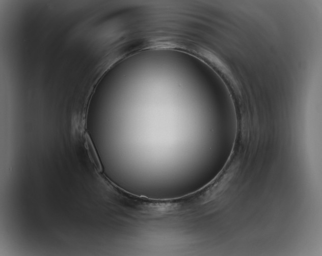 X0000089851193200706281245