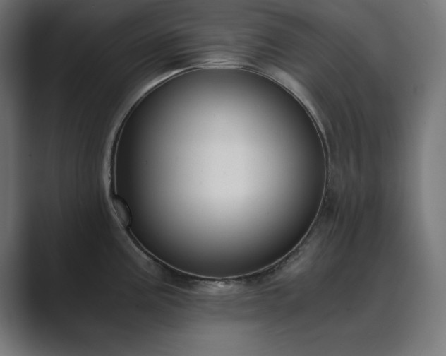 X0000089851195200706281245