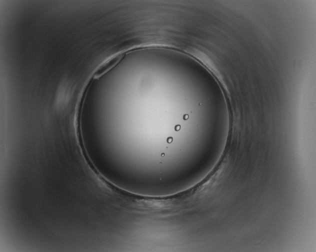 X0000089851197200706281245