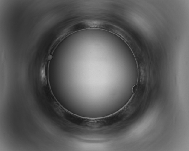 X0000089851198200706281245