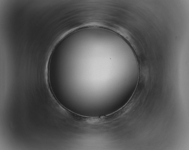 X0000089851199200706281245
