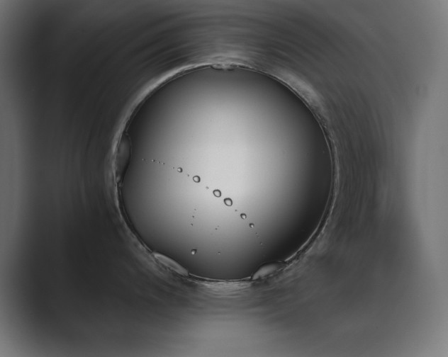 X0000089851200200706281245